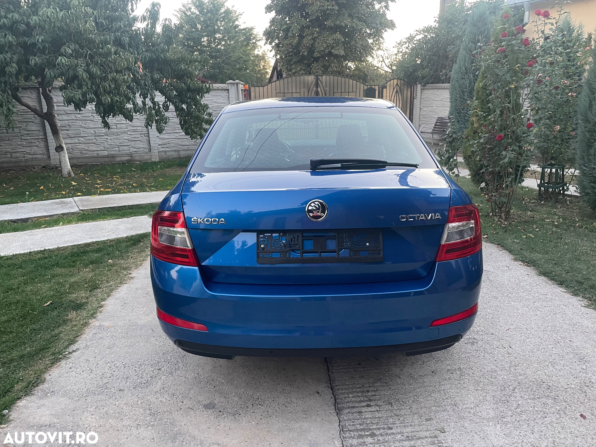 Skoda Octavia - 11
