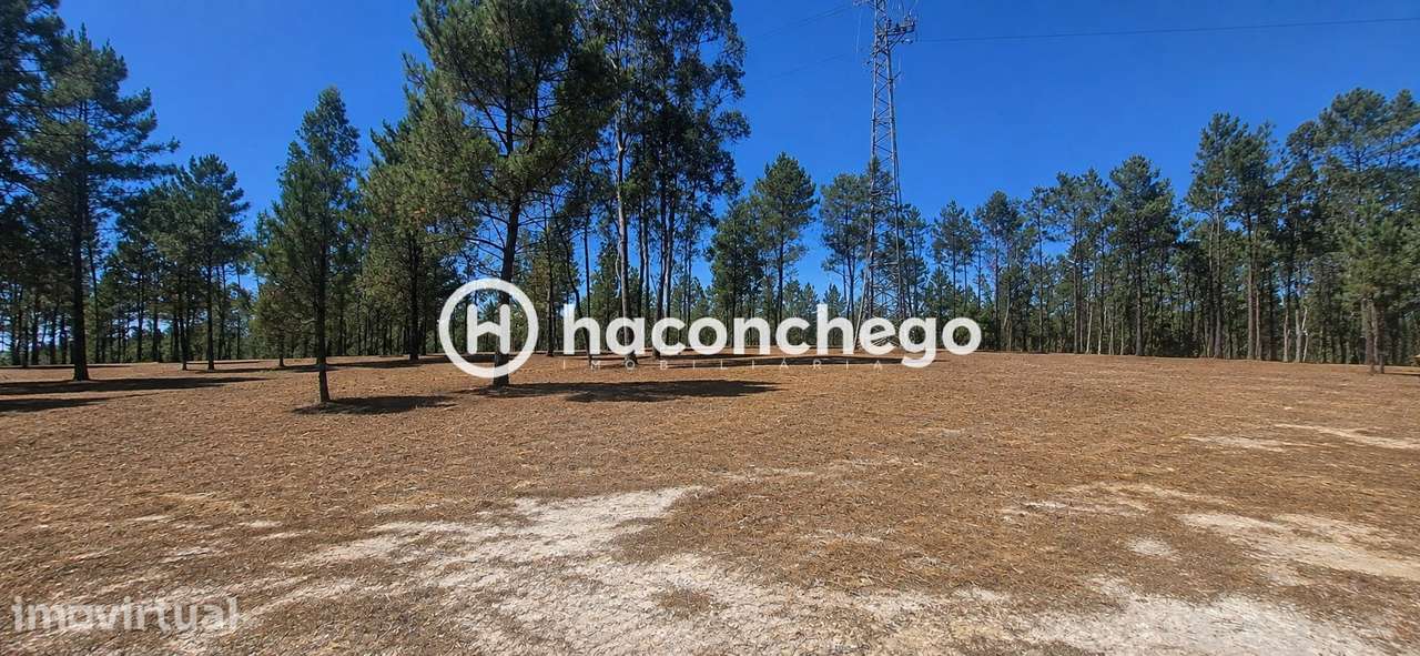 Terreno  Venda em Ucha,Barcelos - Grande imagem: 4/9