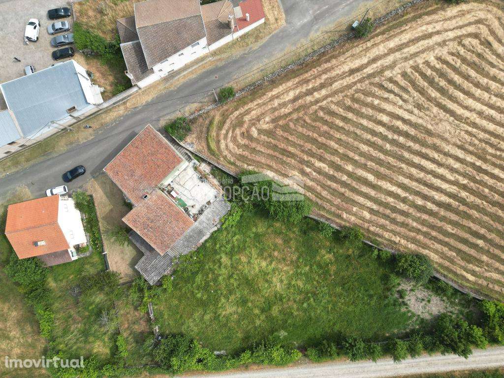 Moradia Duas Igrejas - Miranda do Douro - Grande imagem: 5/7