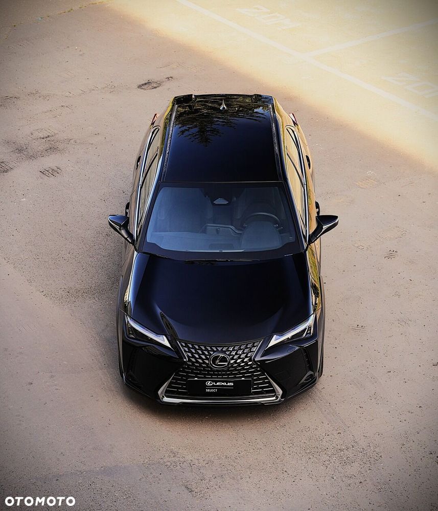 Lexus UX 300h Elegance - 11