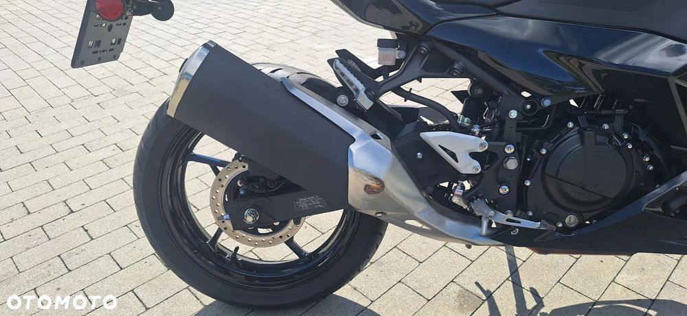 Kawasaki Ninja - 10