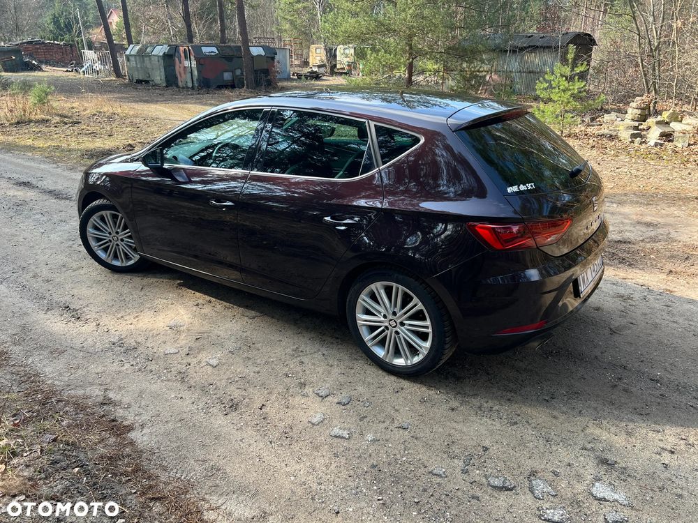 Seat Leon 1.5 EcoTSI Evo Xcellence S&S - 14