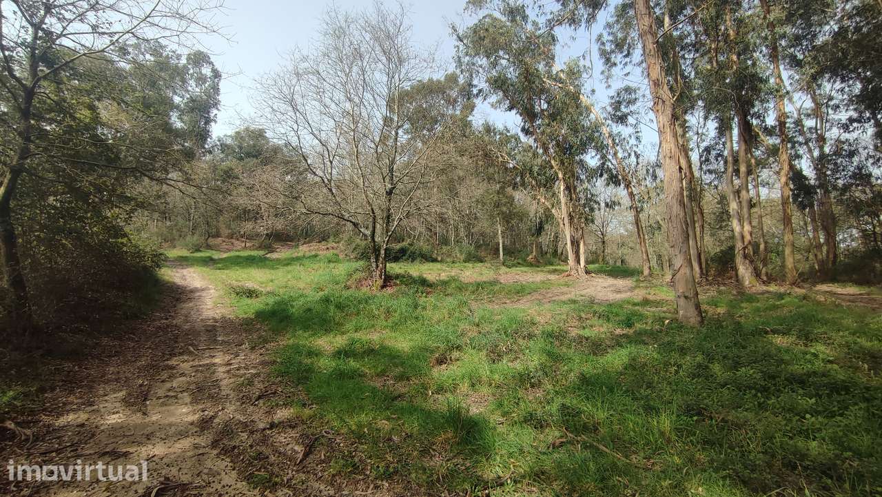 Terreno em Turiz, Vila Verde - Grande imagem: 2/17