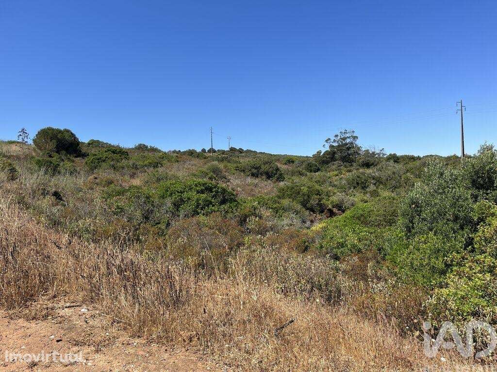 Terreno em Barão de São Miguel - Grande imagem: 4/6
