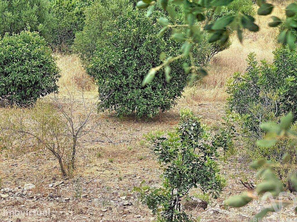 Moradia térrea em Conceição e Cabanas de Tavira de 39 m2 - Grande imagem: 4/6
