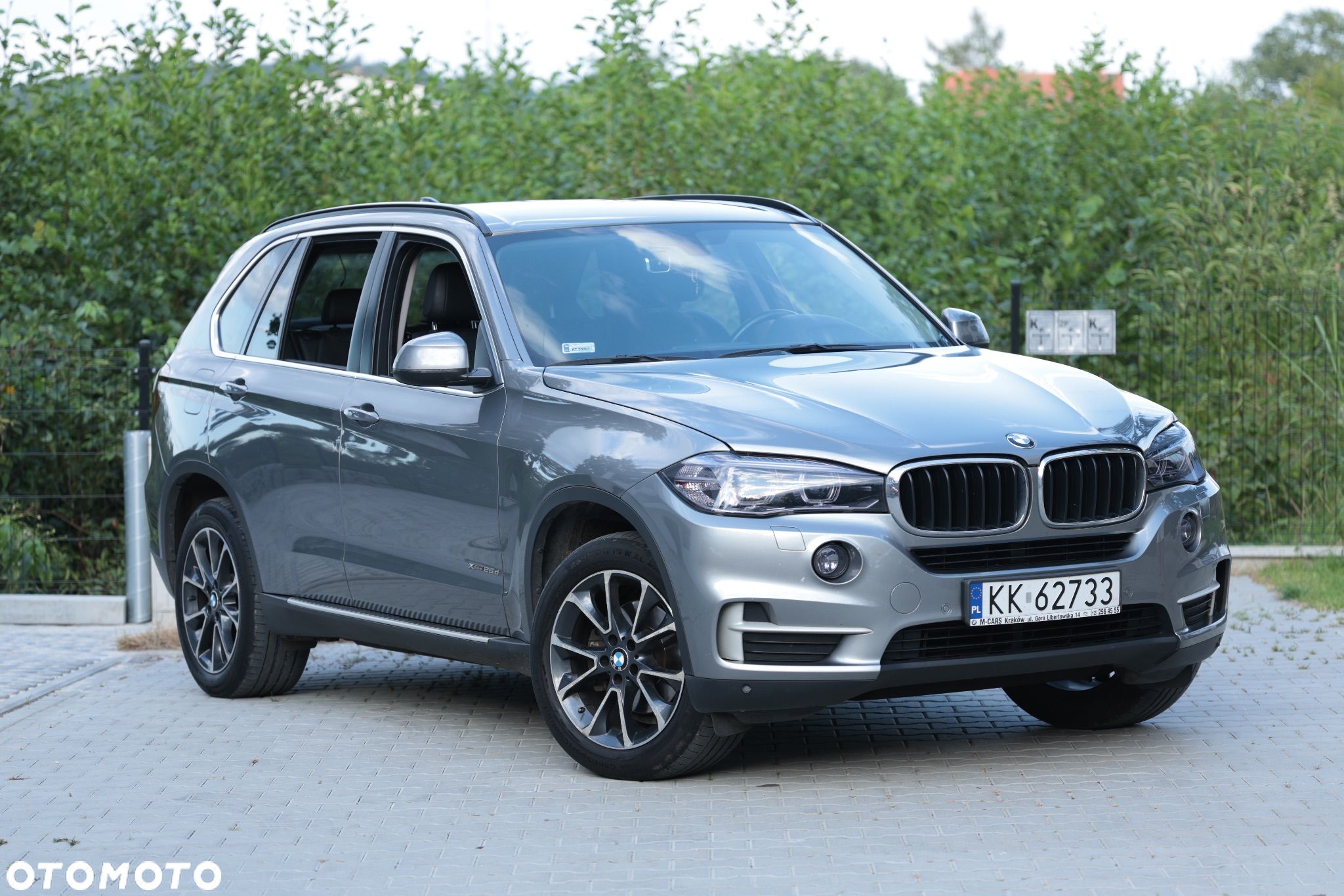 BMW X5 xDrive25d - 1