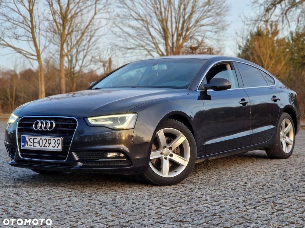 Audi A5 Sportback 2.0 TDI (clean diesel) DPF multitronic - 21