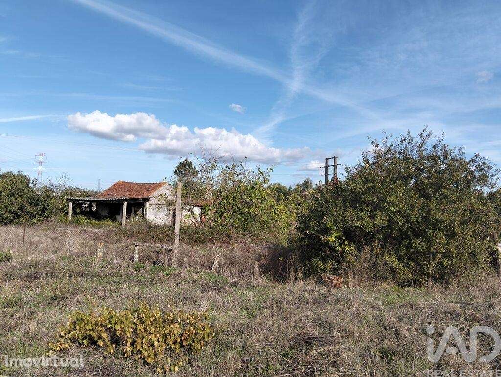 Casa de Campo T2 em Nossa Senhora de Fátima de 52 m2 - Grande imagem: 2/24