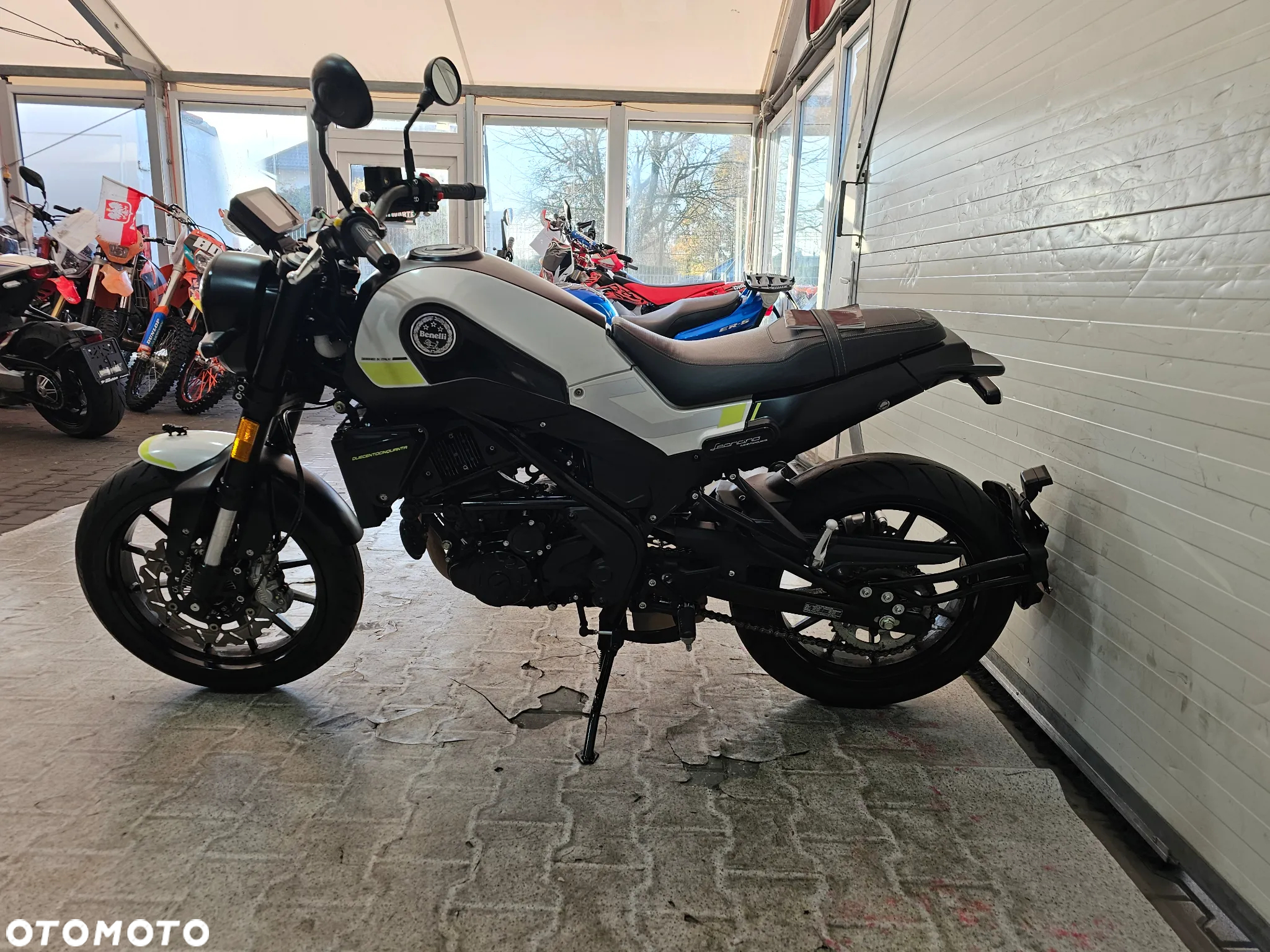 Benelli Leoncino - 14