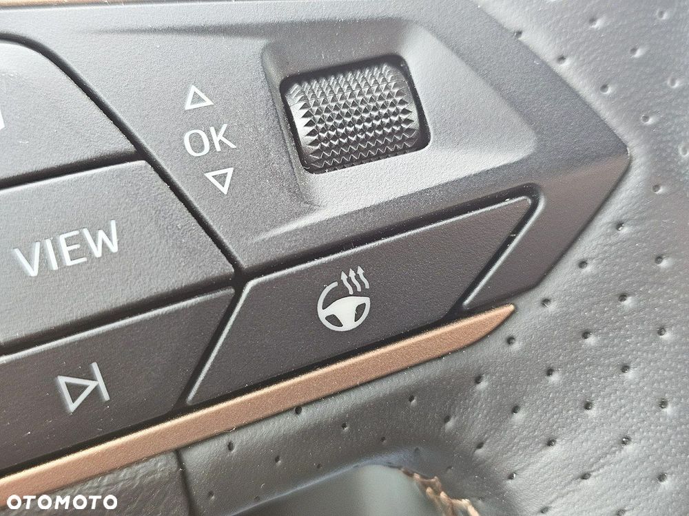 Cupra Ateca 1.5 TSI DSG - 20