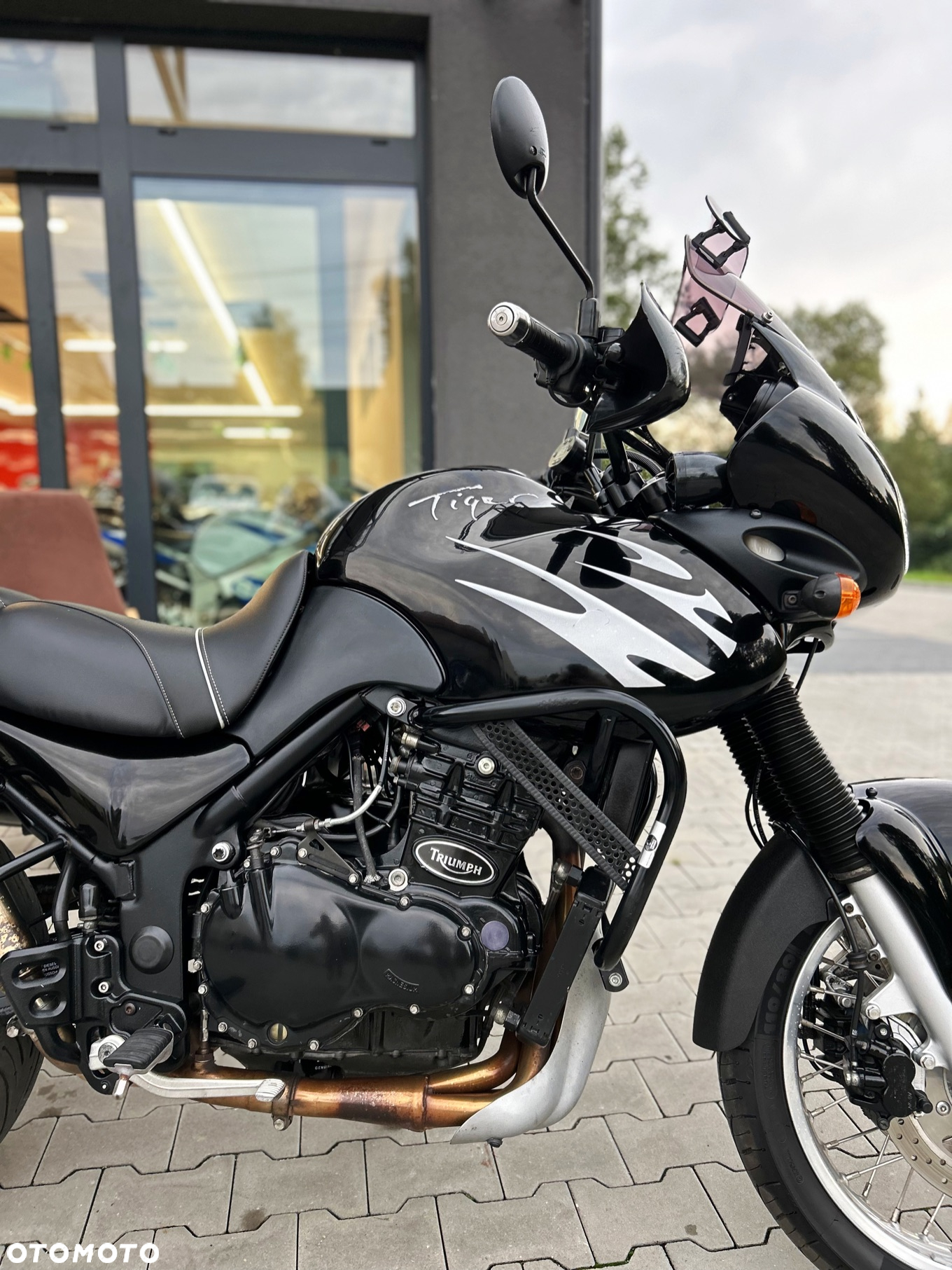 Triumph Tiger - 8