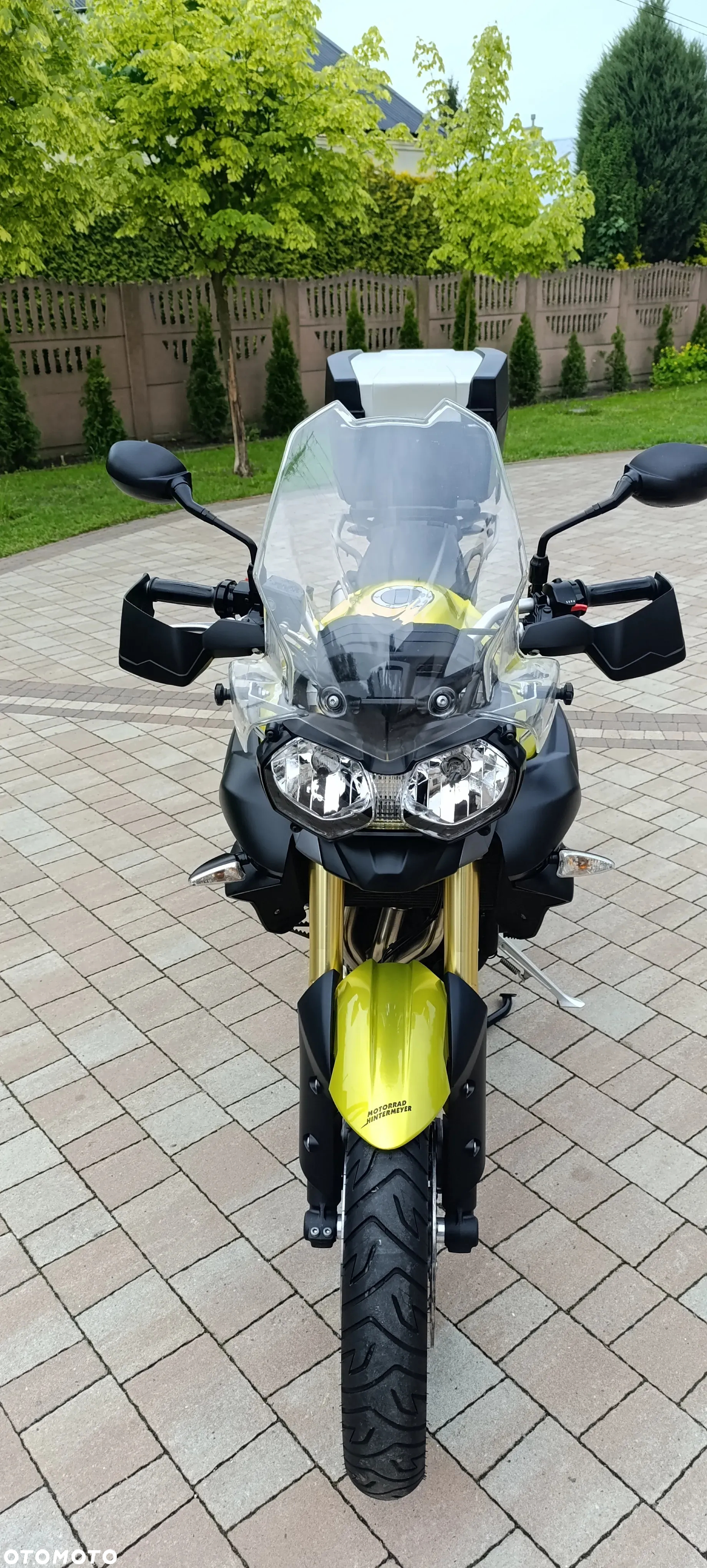 Triumph Tiger - 7