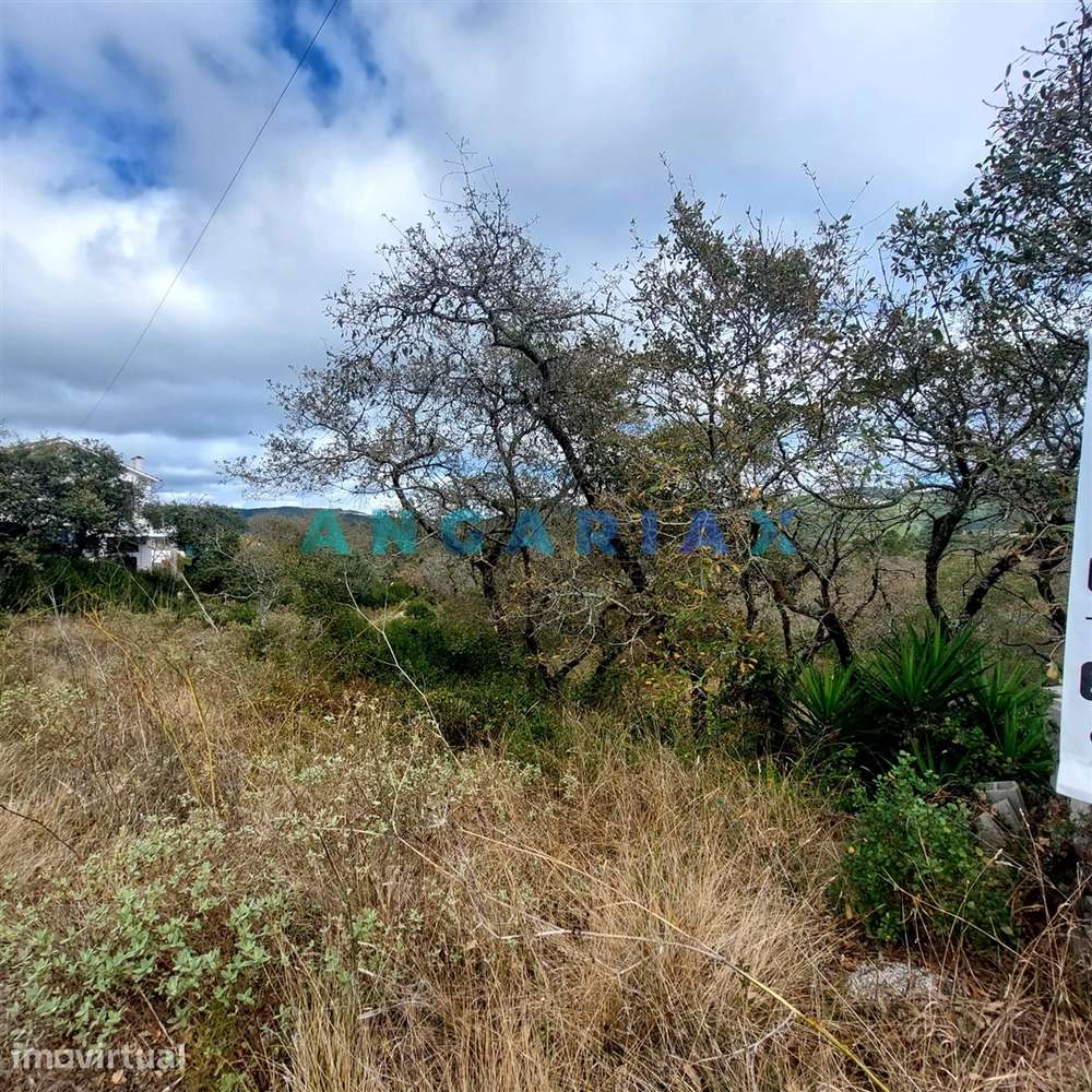ANG1223 - Terreno para Venda em Alqueidão da Serra, Porto de Mós - Grande imagem: 3/5