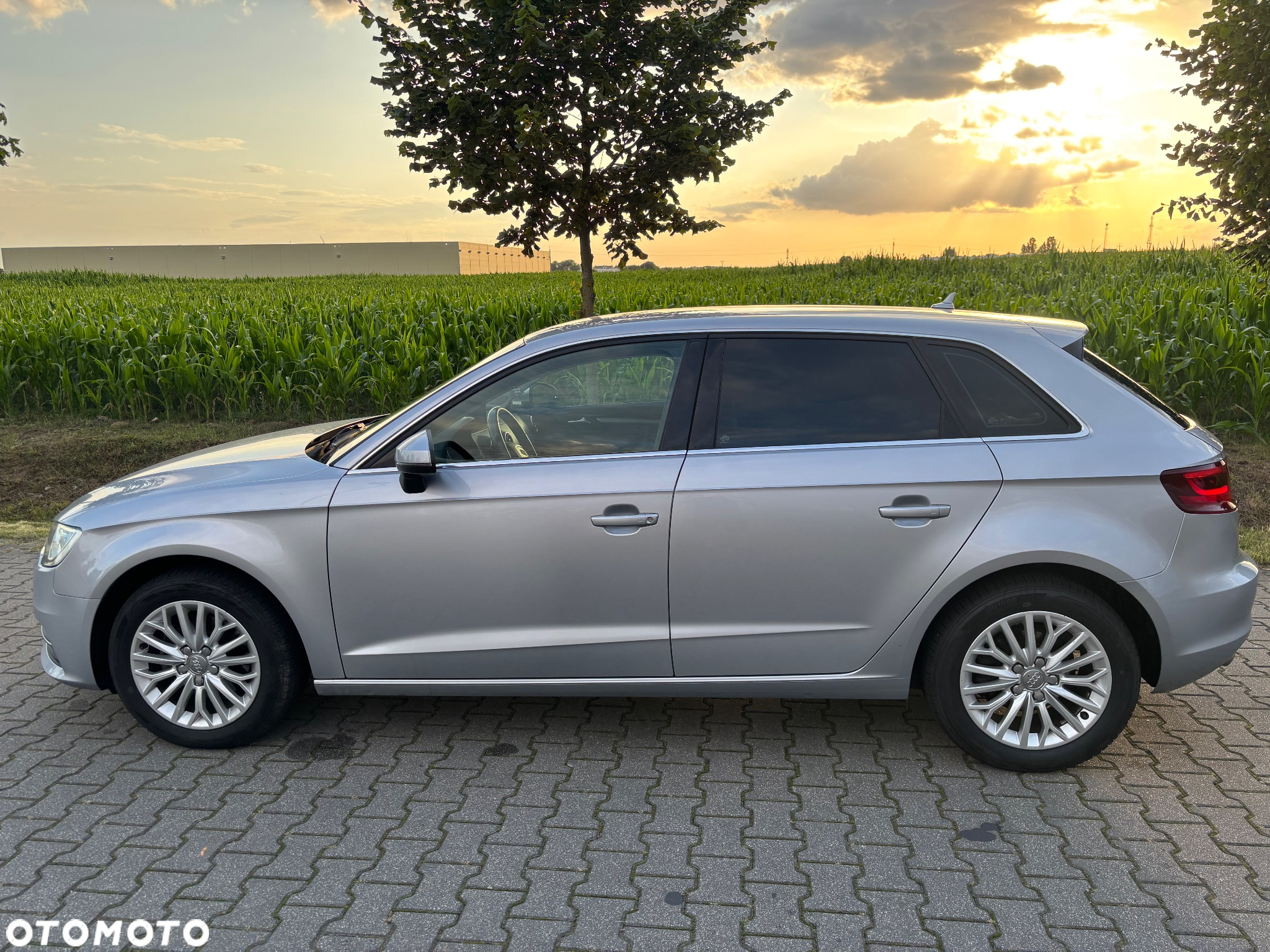 Audi A3 2.0 TDI clean diesel Ambition S tronic - 10