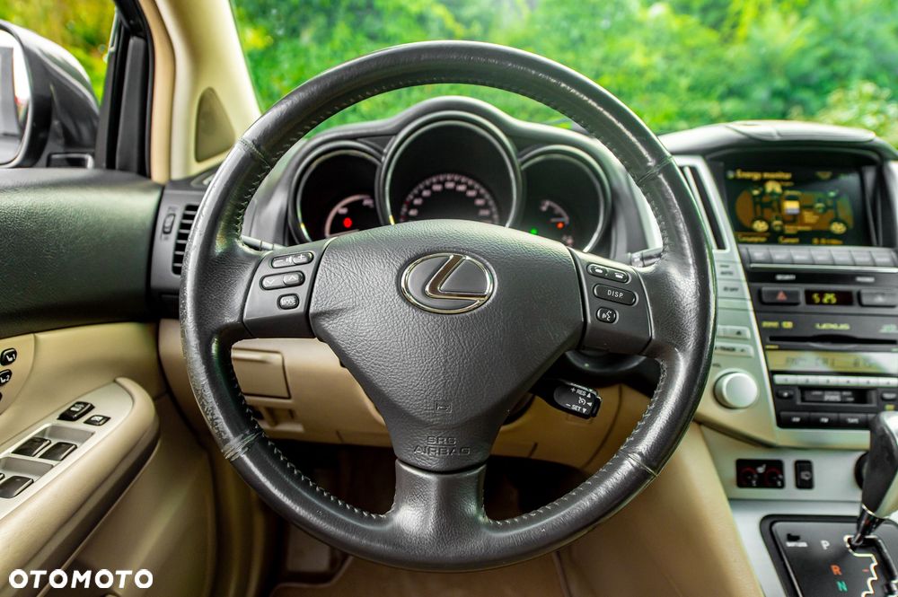 Lexus RX - 14