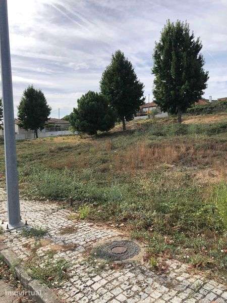 Terreno para construção em Murça - Vila Real - Grande imagem: 3/4