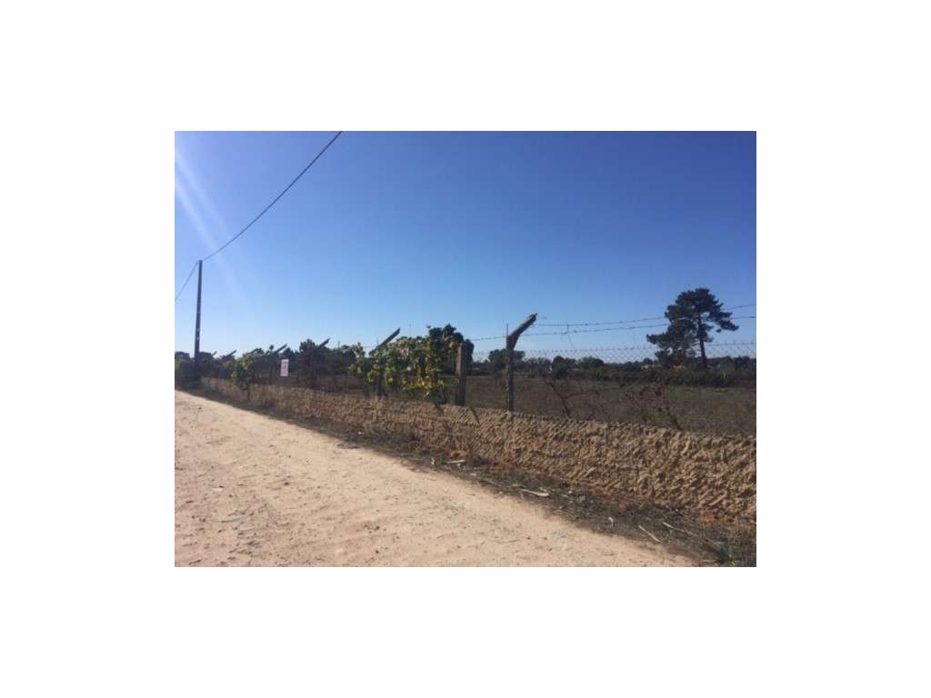Terreno com 12.250m2 , c/ 1 Habitação e Moradia 2 Pisos c/ 210,00m2... - Grande imagem: 4/15