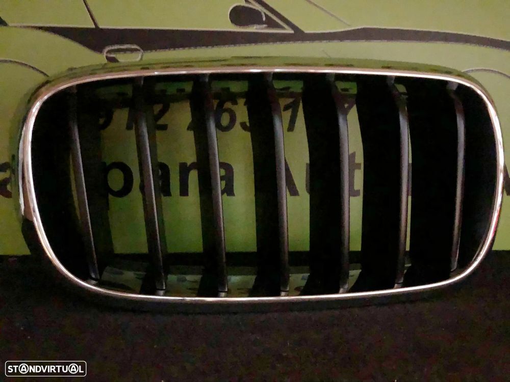 BMW X5 F15 GELHA PARA CHOQUES DIREITA - GL091 - 2