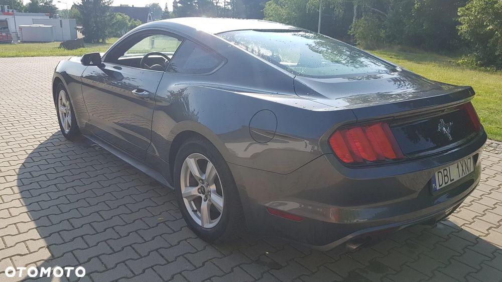 Ford Mustang - 6