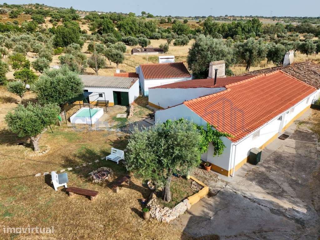 Quintinha com Moradia Típica Alentejana com 3 quartos - Grande imagem: 2/43