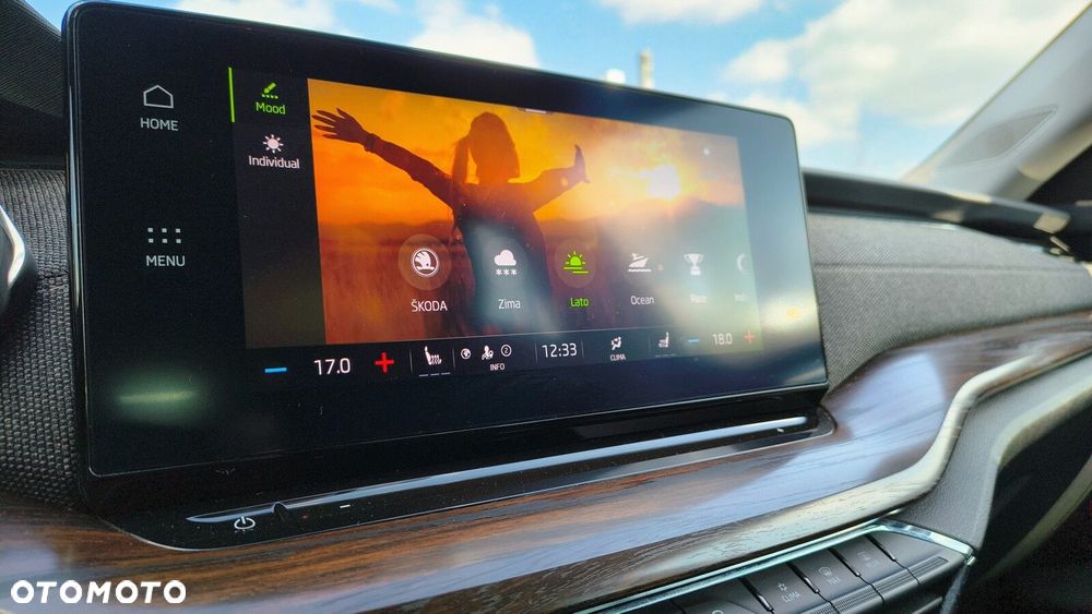 Skoda Octavia 2.0 TDI 4x4 Scout DSG - 26
