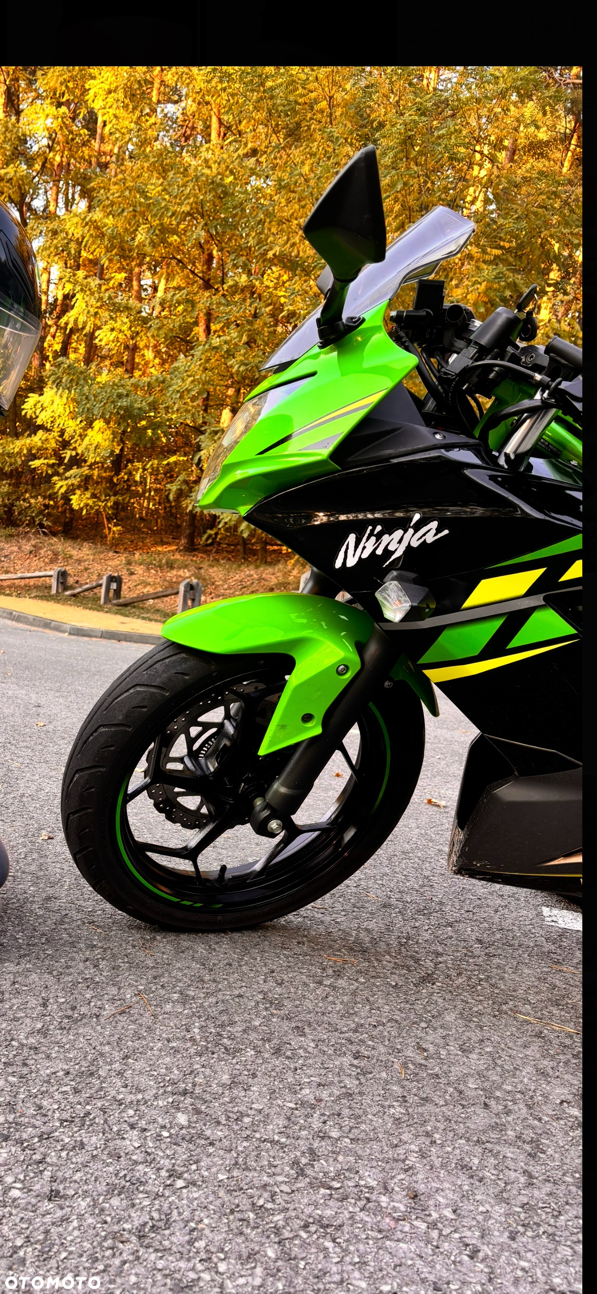 Kawasaki Ninja