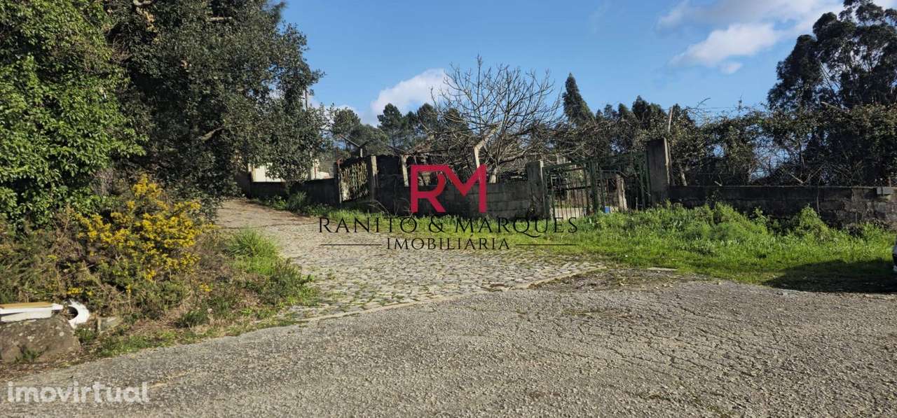 TERRENO COM 13000 m2 PARA CONSTRUÇÃO - SUSÃO, VALONGO - Grande imagem: 3/17