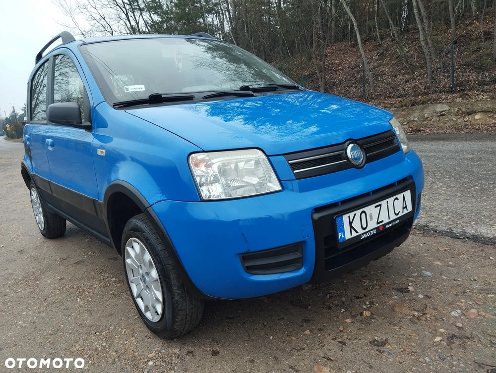 Fiat Panda 1.2 4x4 Adventure - 11