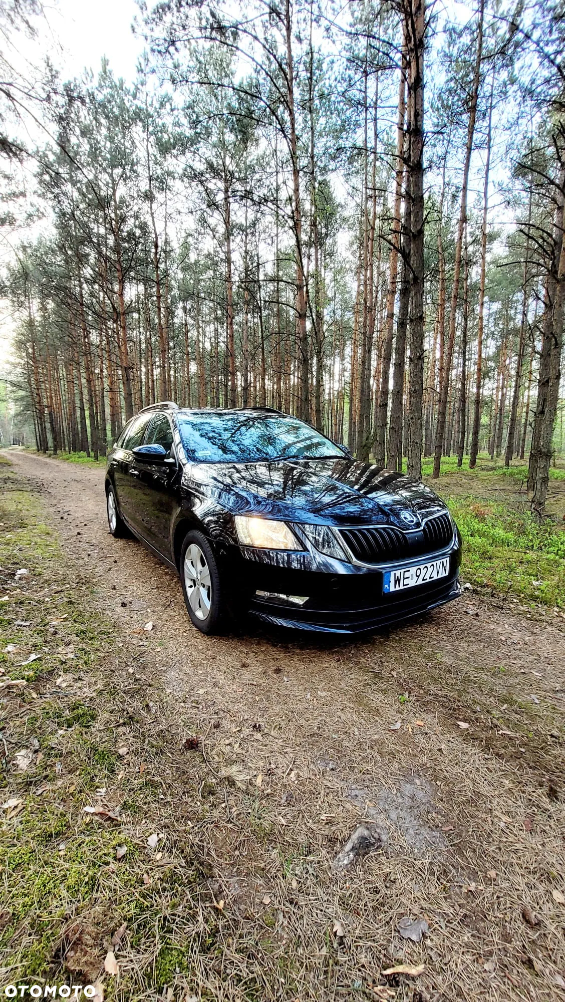 Skoda Octavia - 2