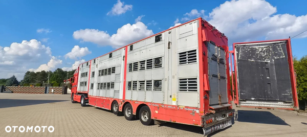 Pezzaioli 2017 / 3 POZIOMY / TRANSPORT ZWIERZĄT / HYDRAULIKA / STEROWANIE PILOTEM/ PODNOSZONY DACH /