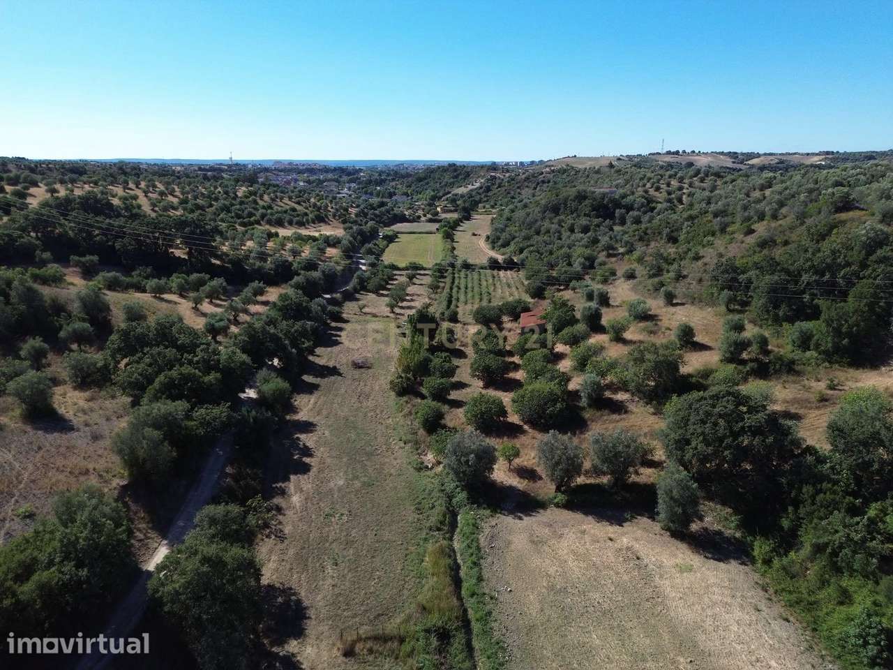 Terreno Rústico com 29.880 m² nas Lapas, Torres Novas - Grande imagem: 3/14