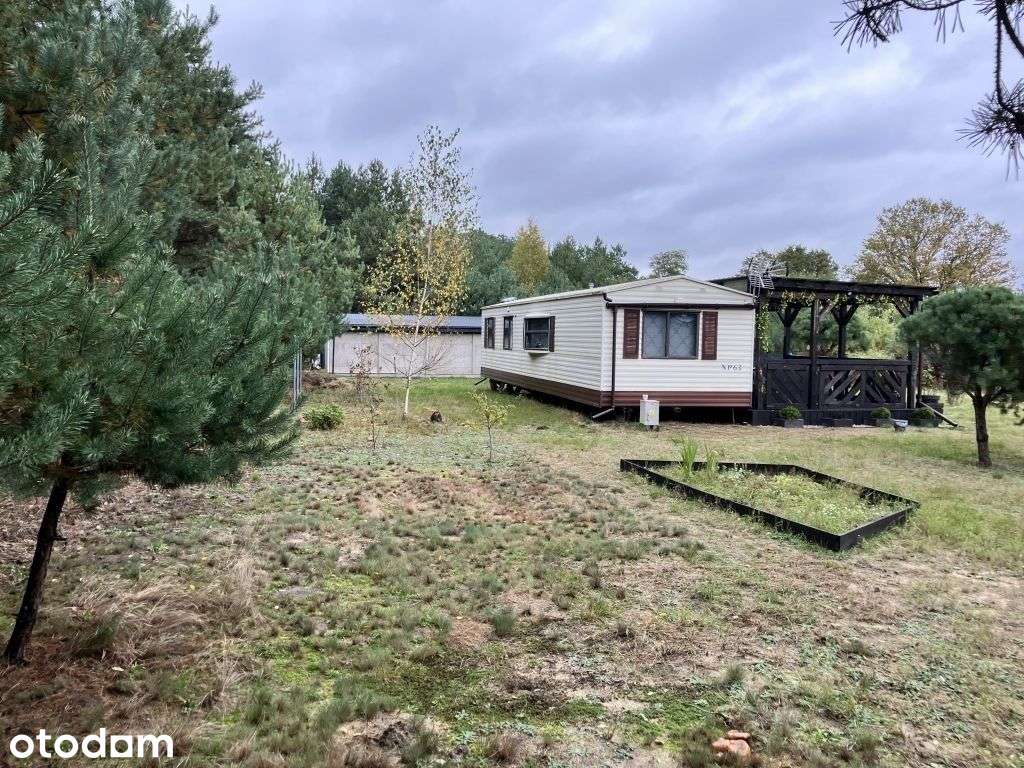 Dom, 35 m², Przekora - Pełny obrazek: 3/19