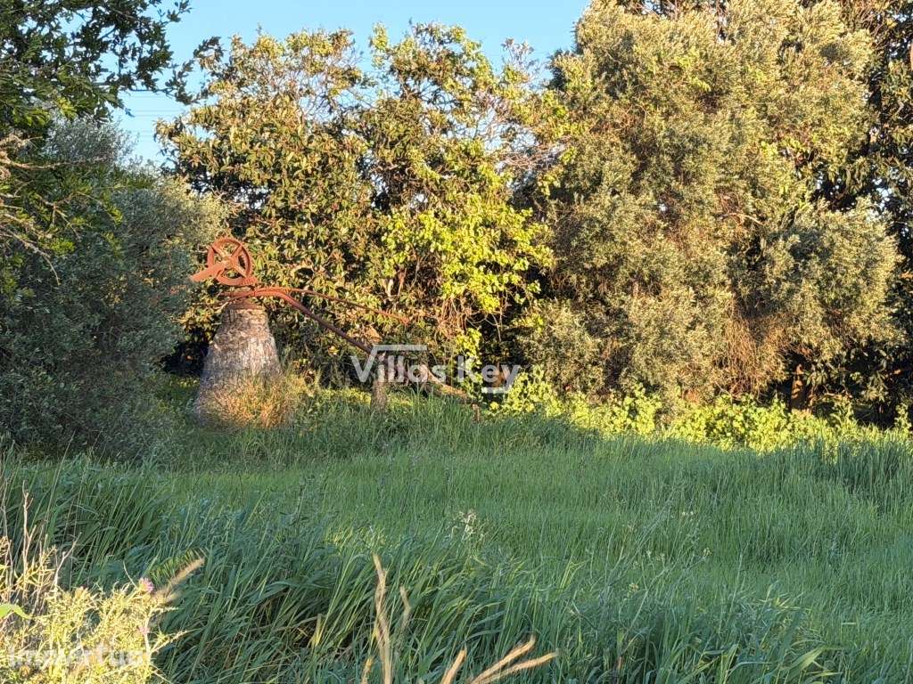 Terreno rústico com terra fértil para agricultura, tanque,nora,bons... - Grande imagem: 3/21