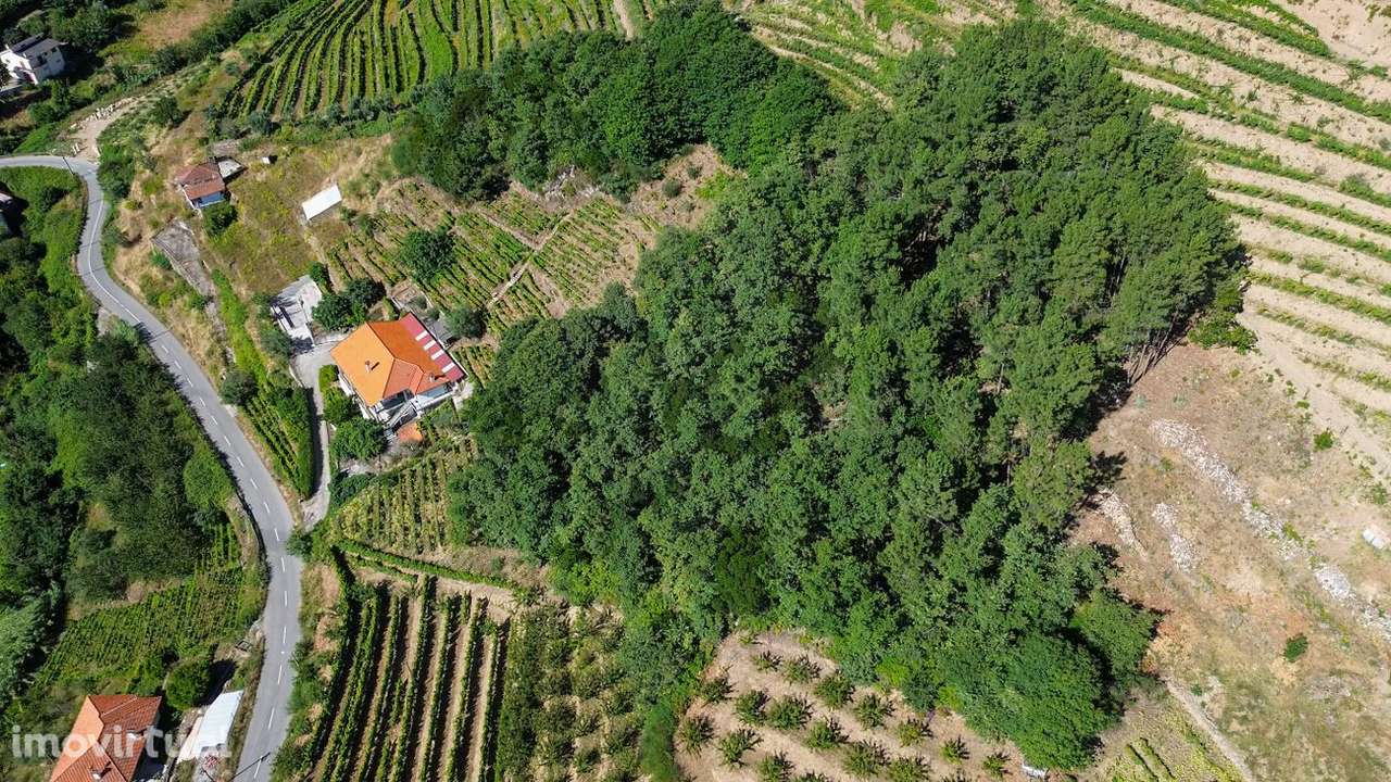 Quinta  para venda - Grande imagem: 4/18