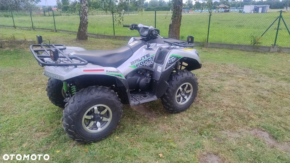 Kawasaki Brute Force - 20
