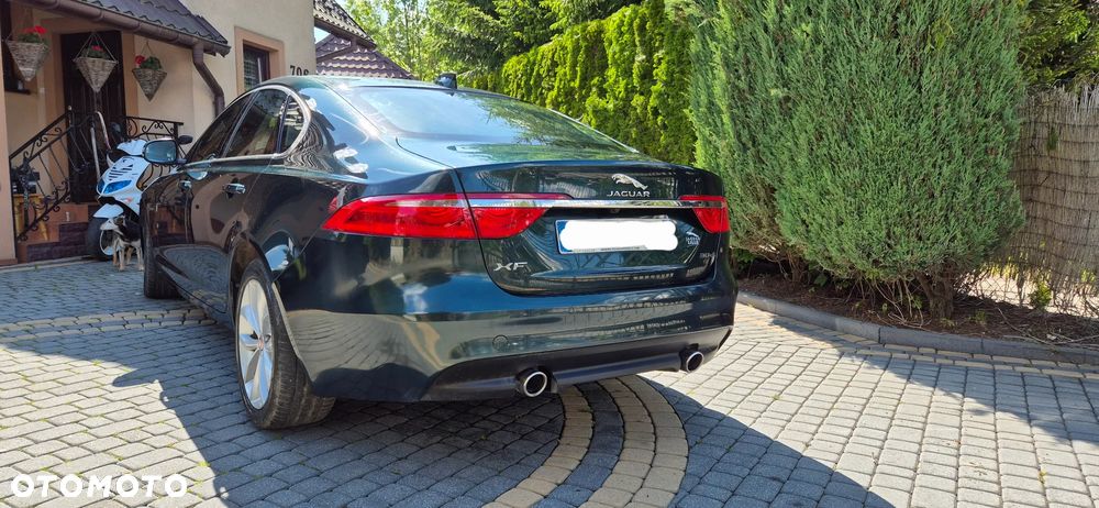 Jaguar XF 30d Prestige - 10