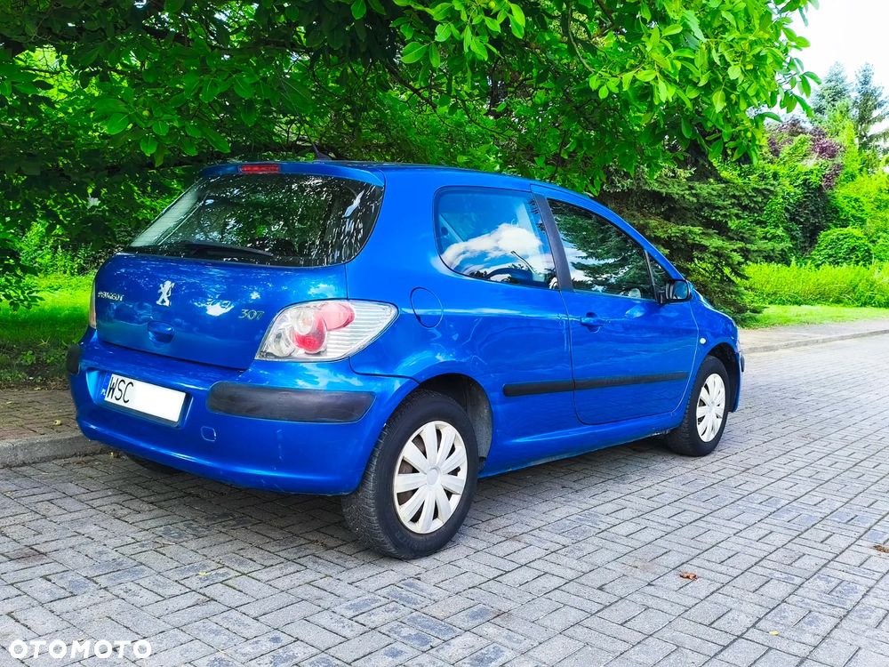 Peugeot 307 1.6 XS - 23