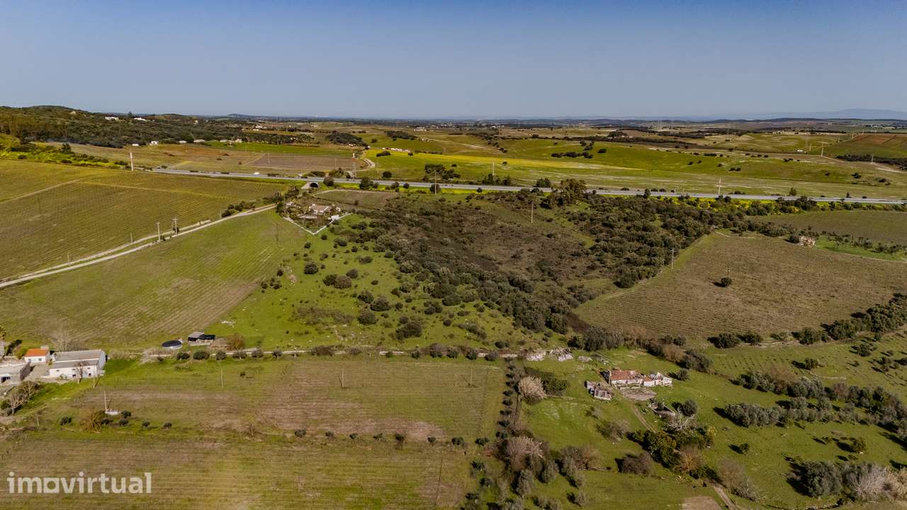 Quinta para Venda em Borba | com ruína de habitação e anexo | Alentejo - Grande imagem: 3/10