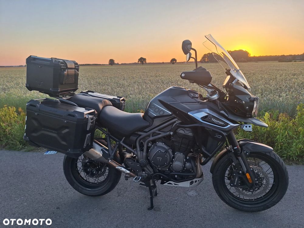 Triumph Tiger - 16
