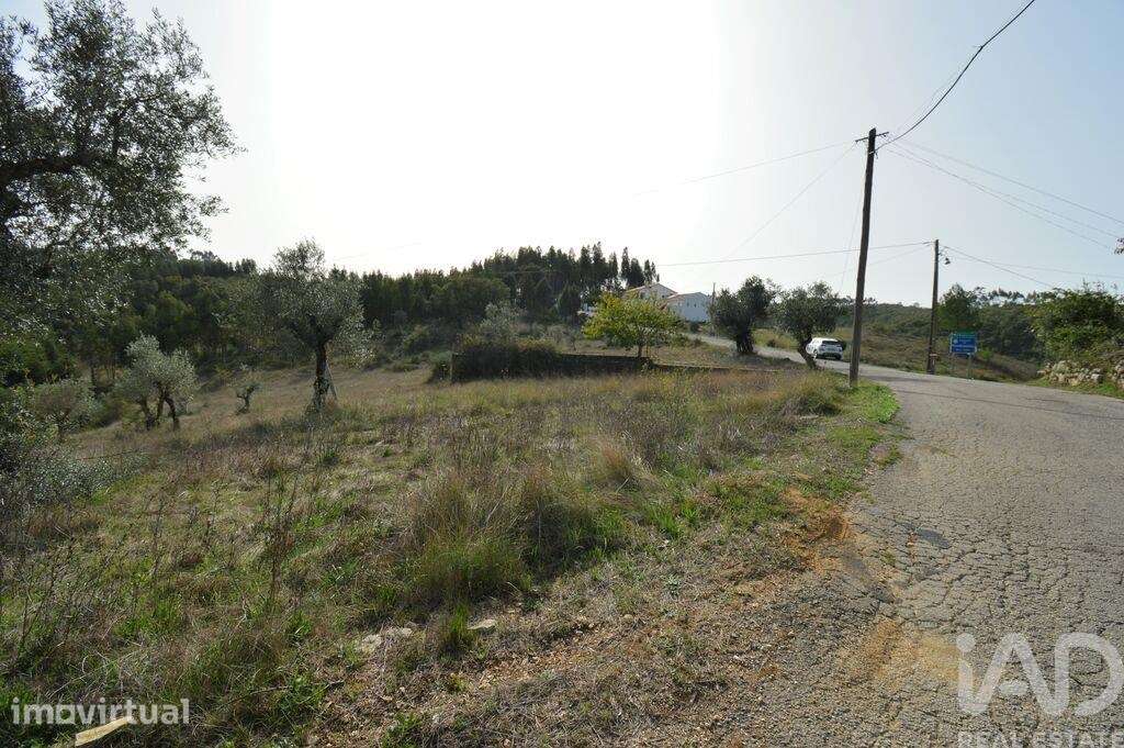 Terreno em Alvorge de 3365,00 m2 - Grande imagem: 3/5