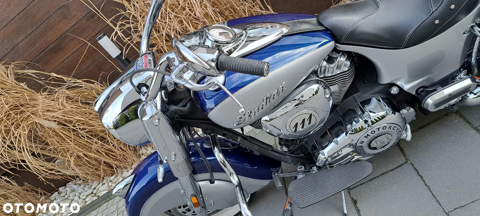Indian Springfield - 39