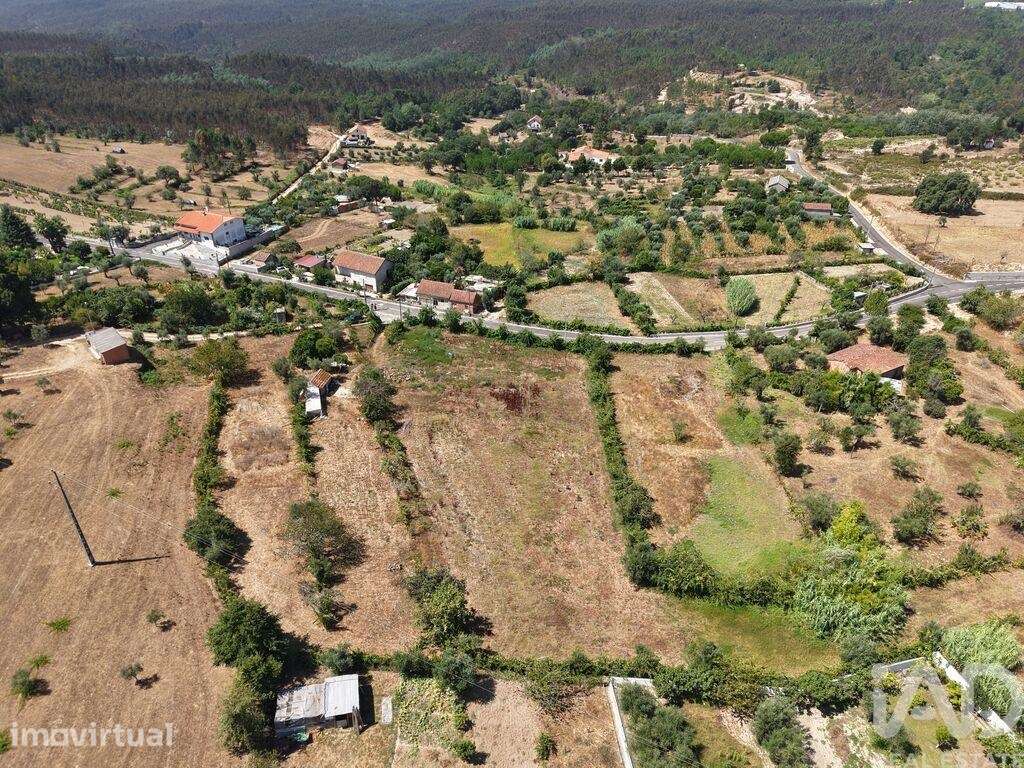 Terreno Agrícola em Carregal do Sal - Grande imagem: 2/7