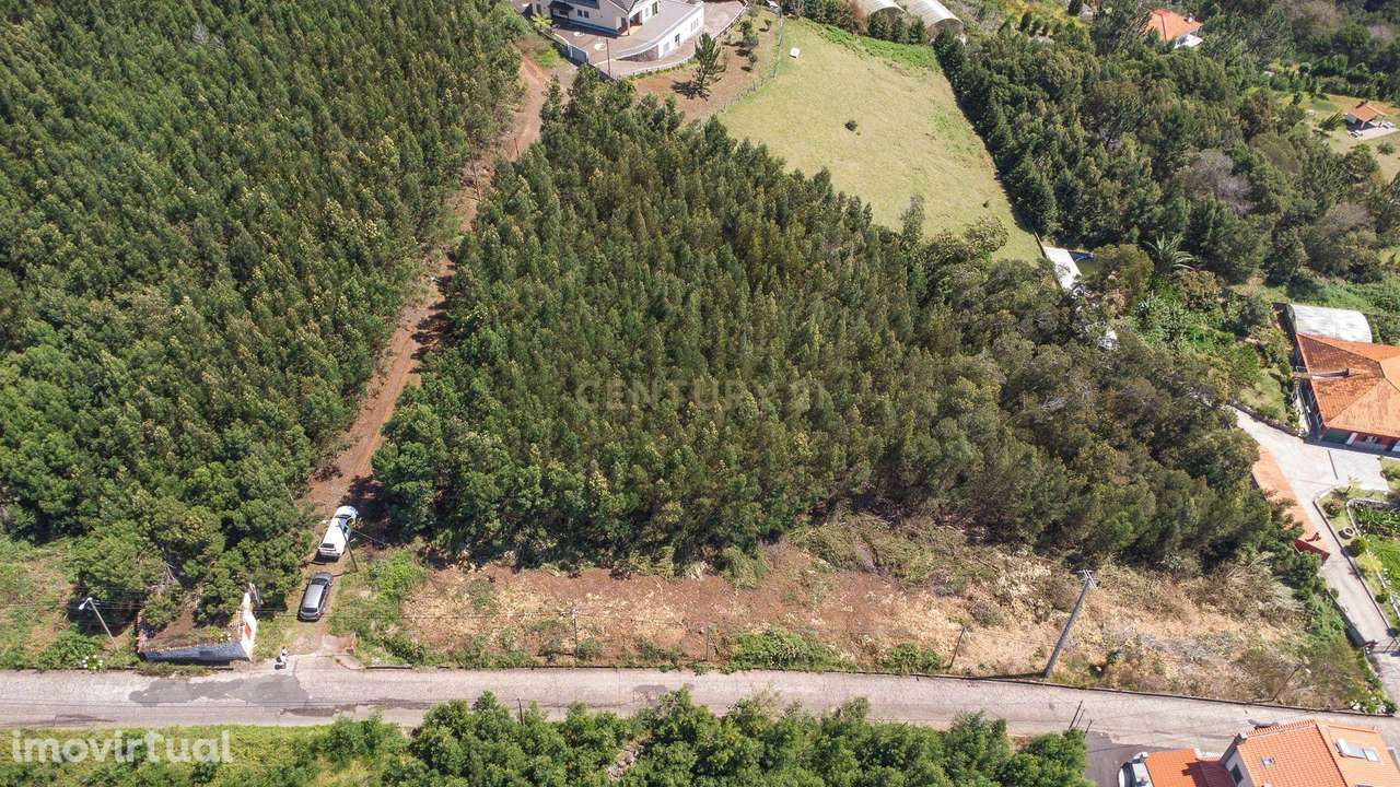 Terreno Rústico com 2650m² na Achada do Moreno, Santa Cruz - Grande imagem: 2/12