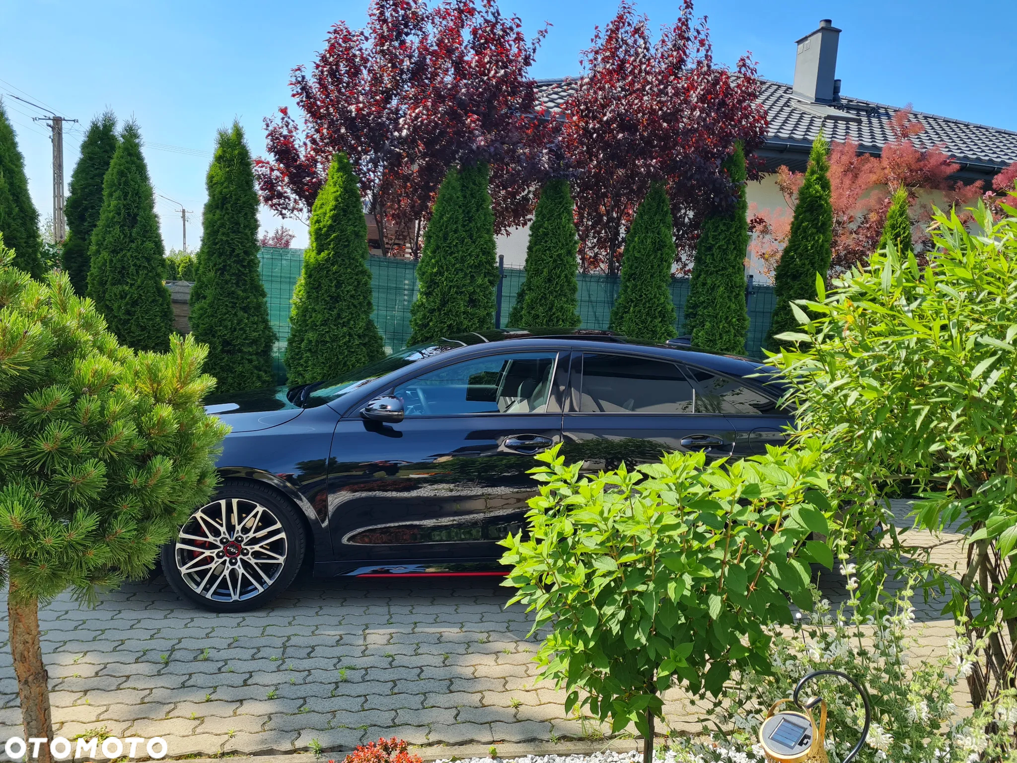 Kia ProCeed 1.6 T-GDI GT DCT - 20
