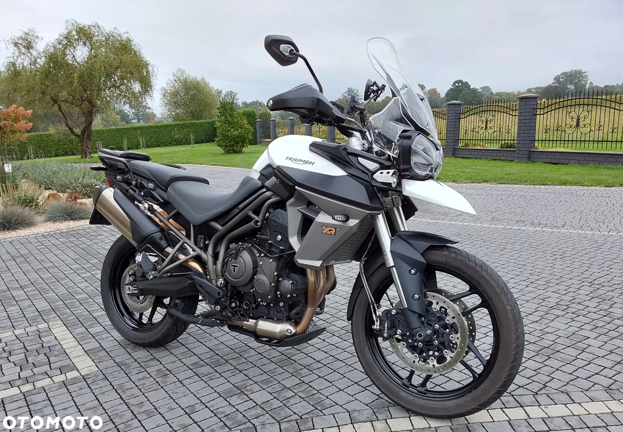 Triumph Tiger - 14