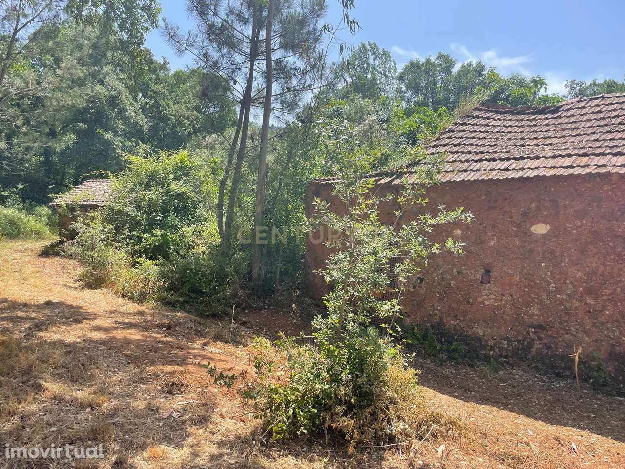 Moradia Térrea para Recuperar com Terreno de aproximadamente 1.600 m² - Grande imagem: 4/10