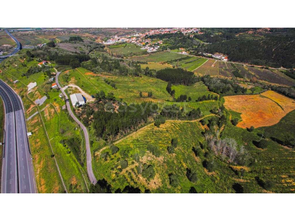 Terreno com 130000m2 destinado à agricultura no Alto da Maiorga - Grande imagem: 3/24