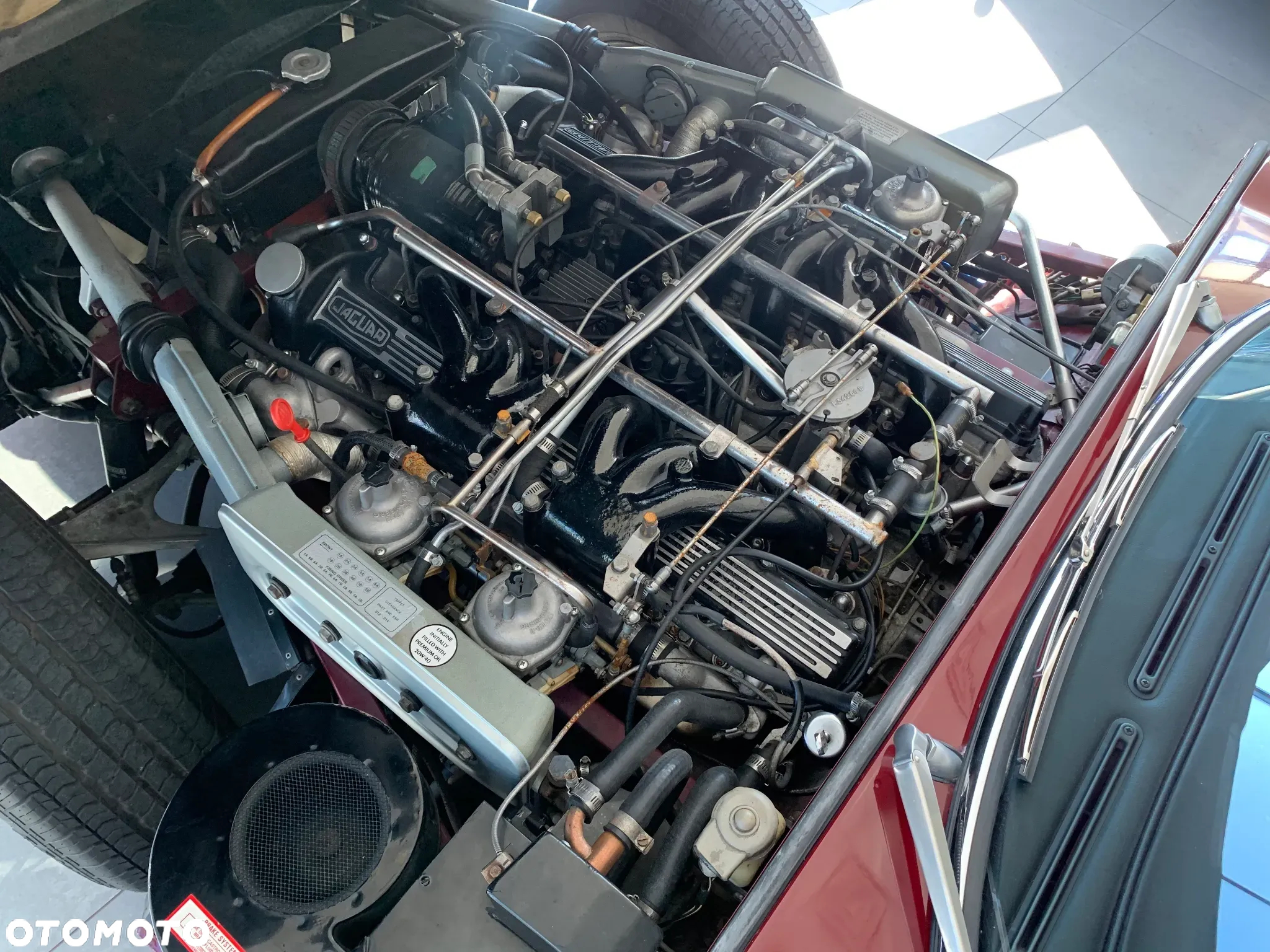 Jaguar E-Type - 15