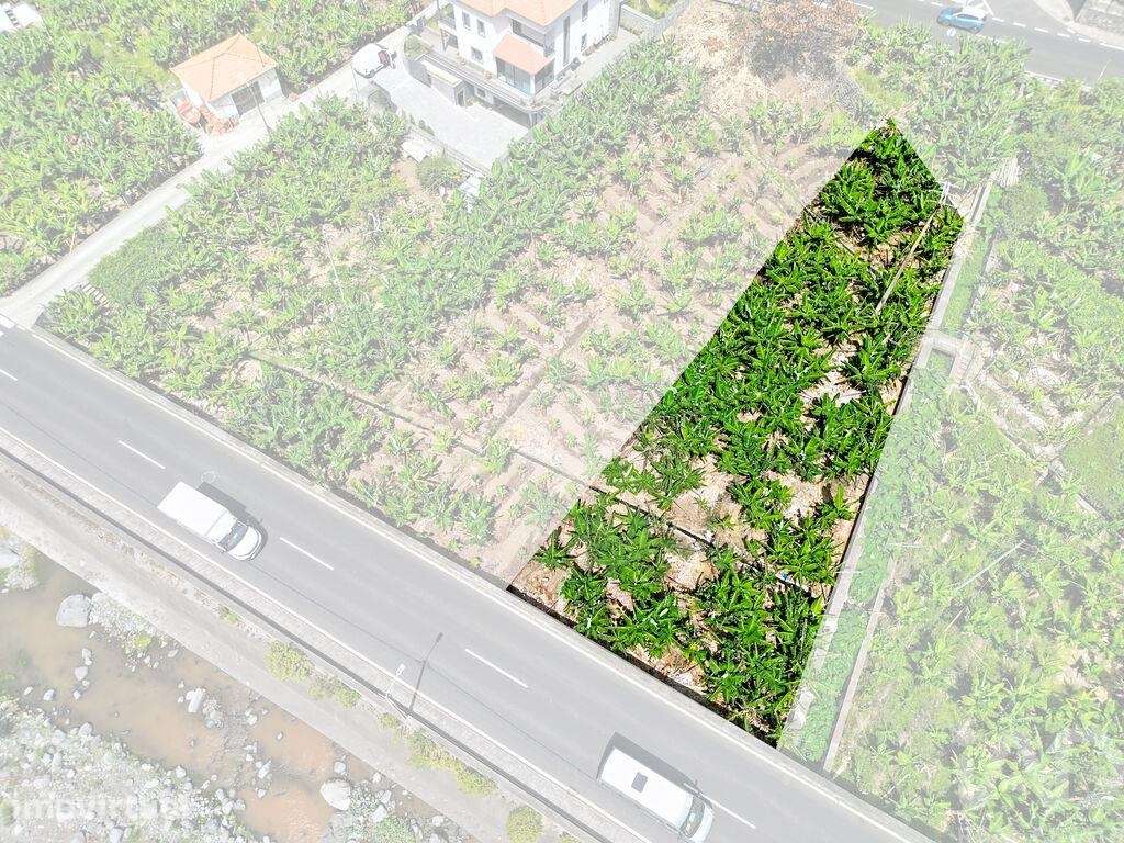 Terreno em Ribeira Brava - Grande imagem: 4/11