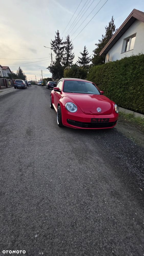 Volkswagen Beetle - 19